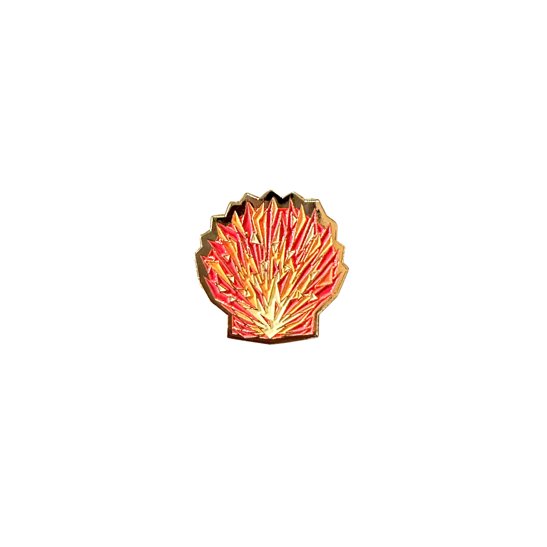 Pin | Spondylus shell