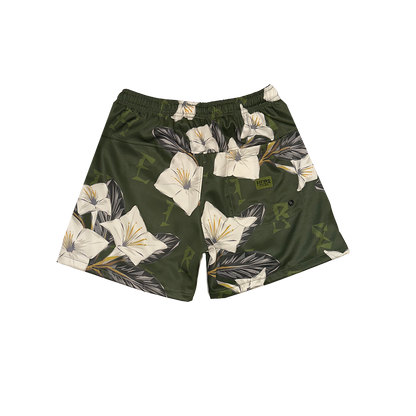 Shorts | Olive Gausali